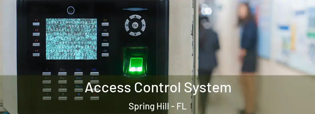 Access Control System Spring Hill - FL