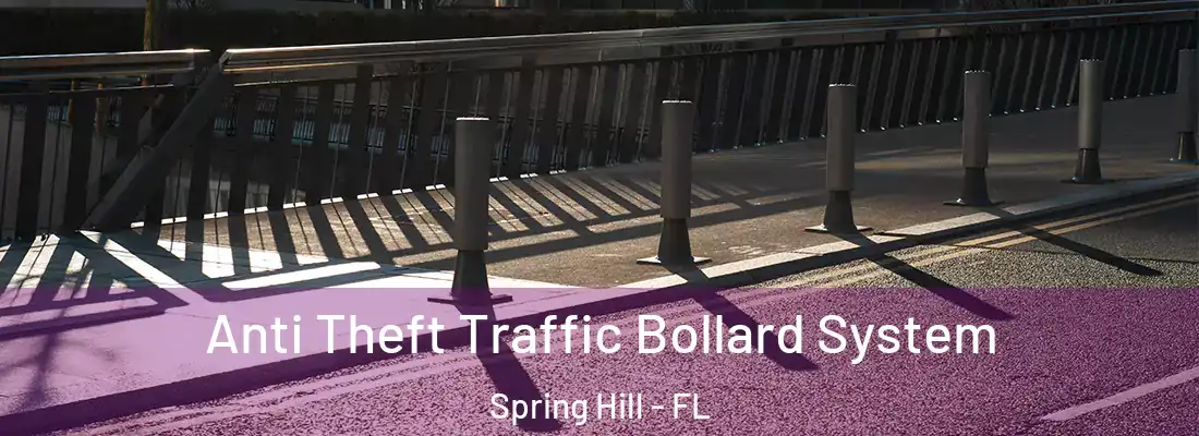  Anti Theft Traffic Bollard System Spring Hill - FL