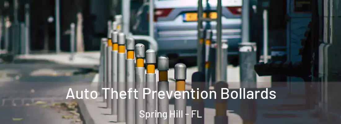  Auto Theft Prevention Bollards Spring Hill - FL