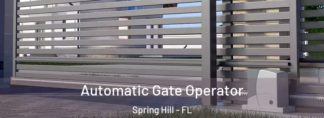 Automatic Gate Operator Spring Hill - FL