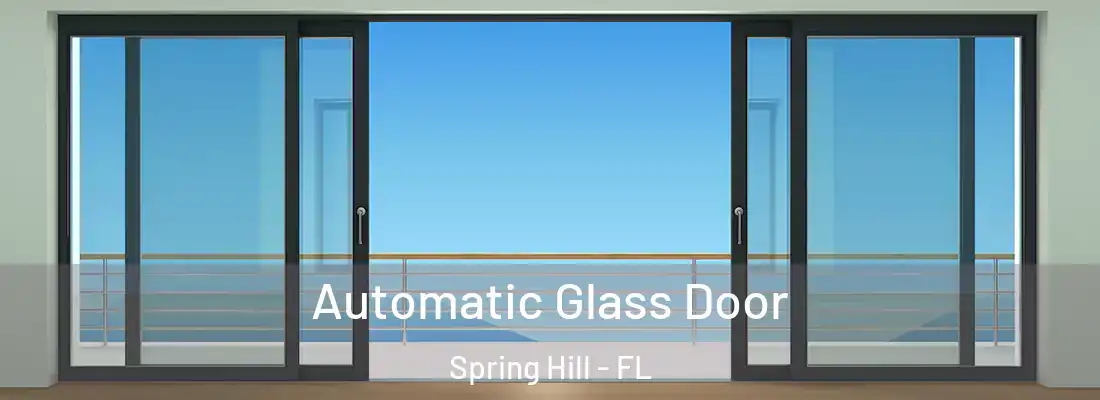  Automatic Glass Door Spring Hill - FL