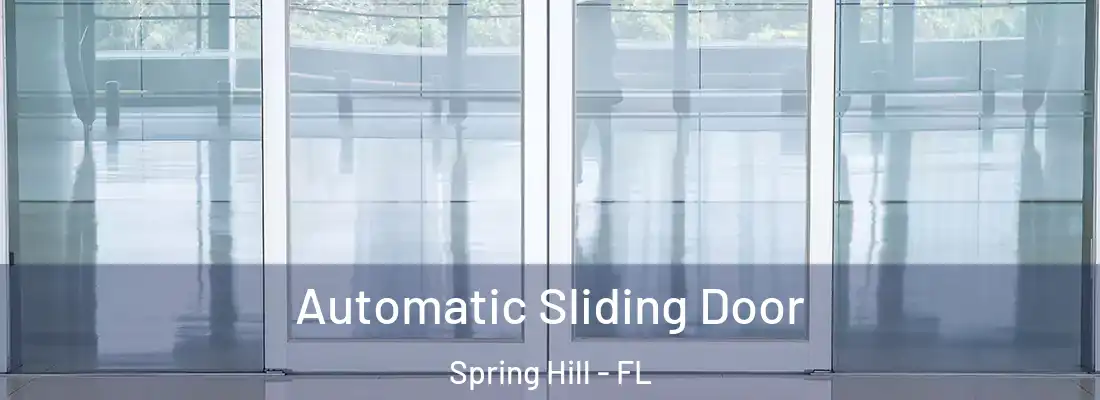 Automatic Sliding Door Spring Hill - FL