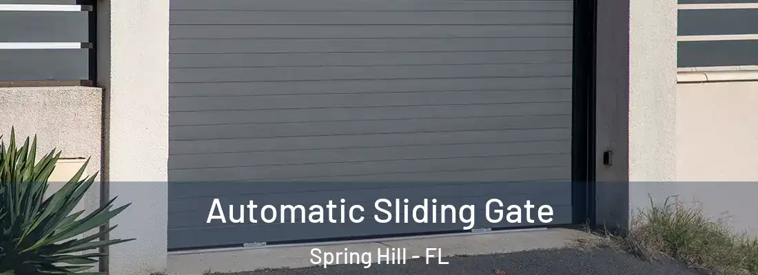 Automatic Sliding Gate Spring Hill - FL