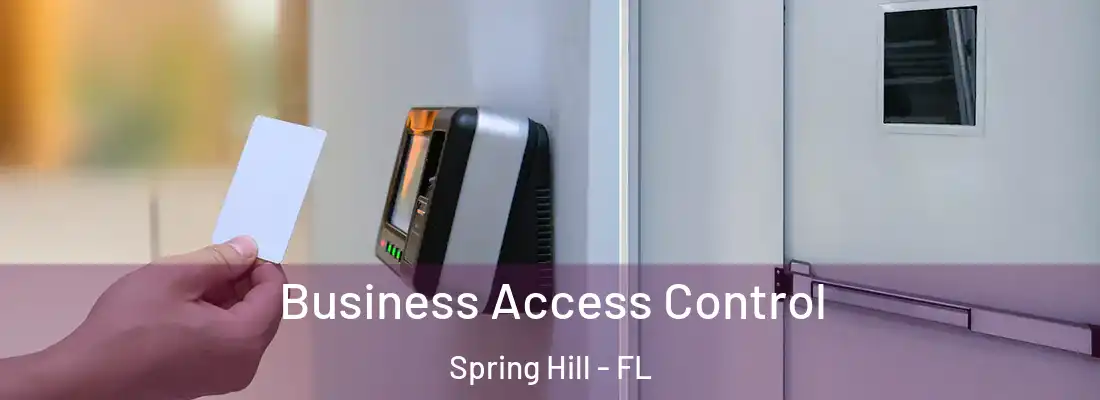Business Access Control Spring Hill - FL