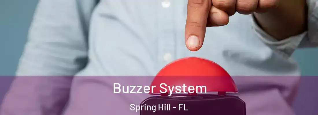 Buzzer System Spring Hill - FL