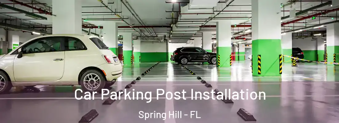  Car Parking Post Installation Spring Hill - FL
