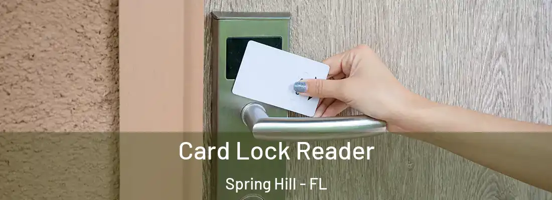 Card Lock Reader Spring Hill - FL