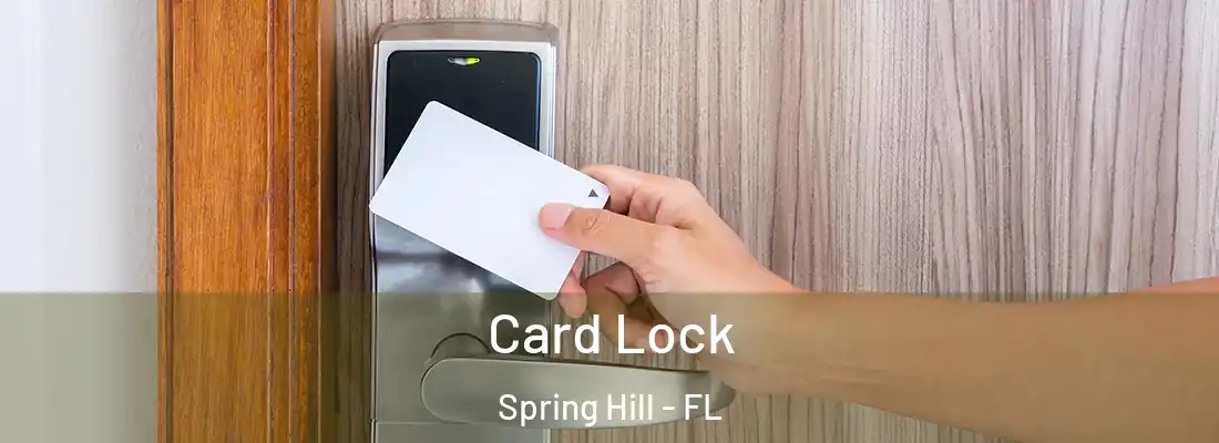 Card Lock Spring Hill - FL