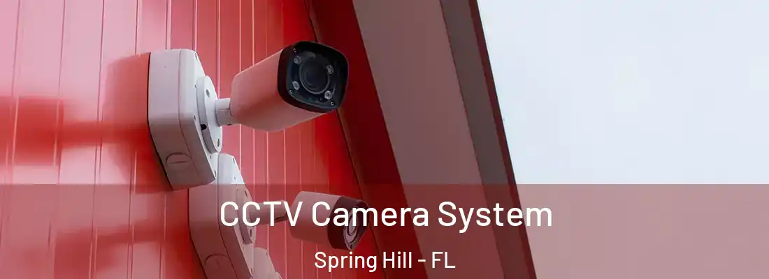 CCTV Camera System Spring Hill - FL