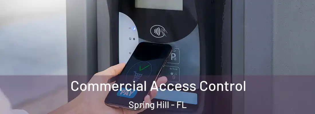 Commercial Access Control Spring Hill - FL