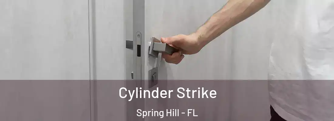  Cylinder Strike Spring Hill - FL