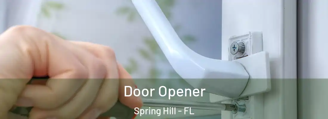  Door Opener Spring Hill - FL