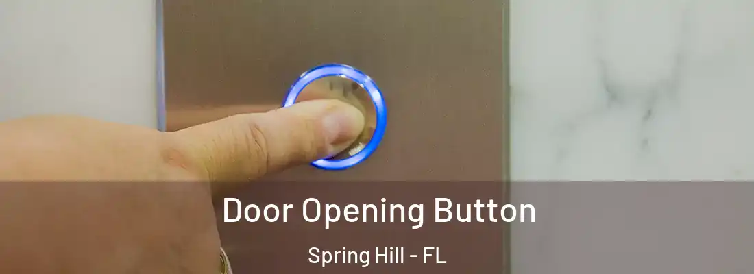 Door Opening Button Spring Hill - FL