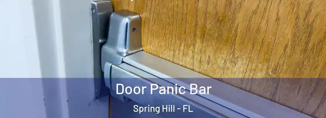 Door Panic Bar Spring Hill - FL