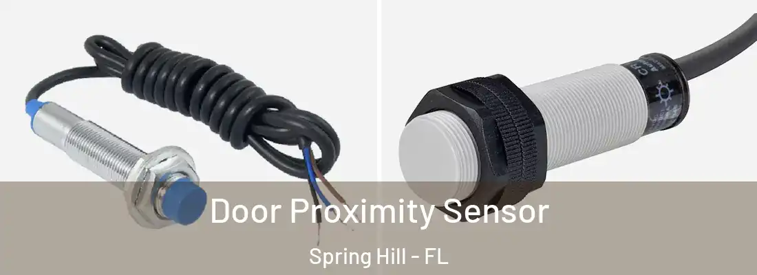 Door Proximity Sensor Spring Hill - FL