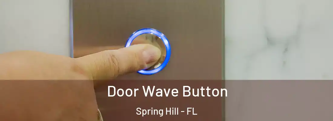 Door Wave Button Spring Hill - FL