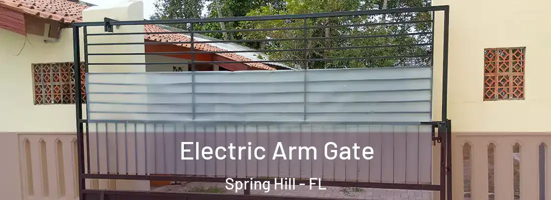  Electric Arm Gate Spring Hill - FL