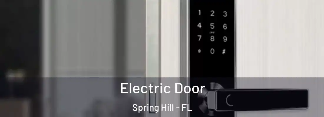 Electric Door Spring Hill - FL