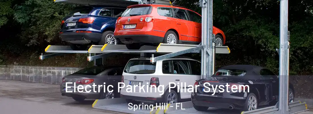  Electric Parking Pillar System Spring Hill - FL