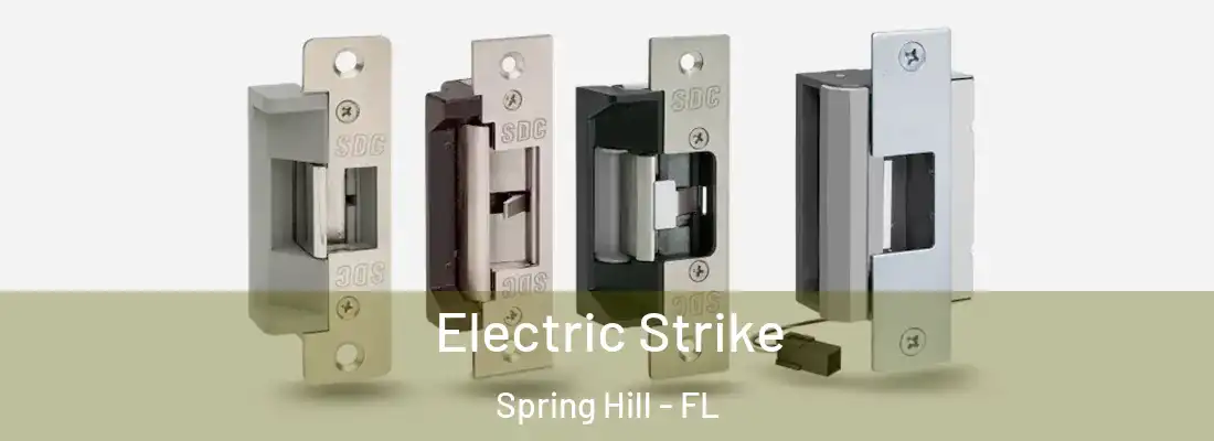 Electric Strike Spring Hill - FL