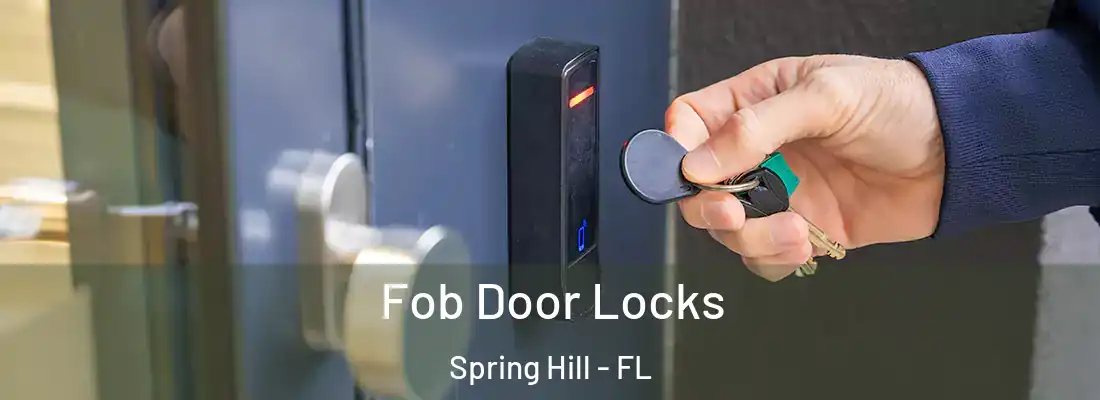  Fob Door Locks Spring Hill - FL