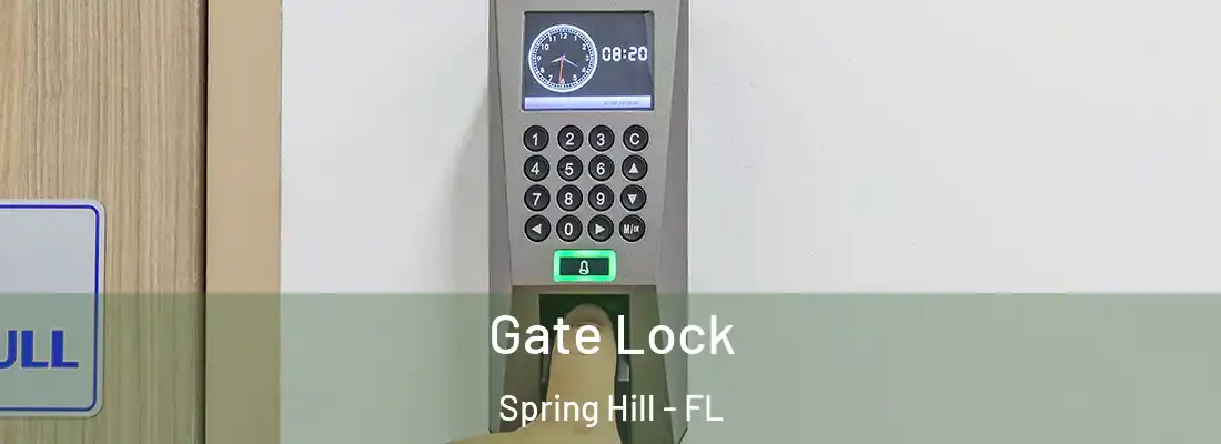 Gate Lock Spring Hill - FL