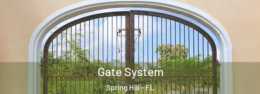 Gate System Spring Hill - FL