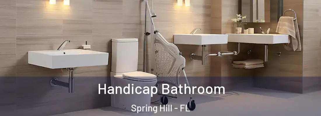 Handicap Bathroom Spring Hill - FL
