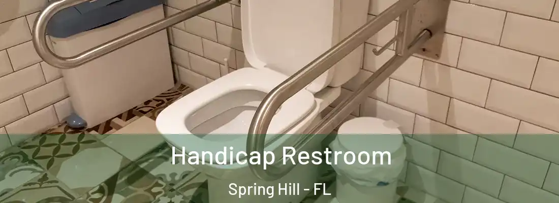  Handicap Restroom Spring Hill - FL
