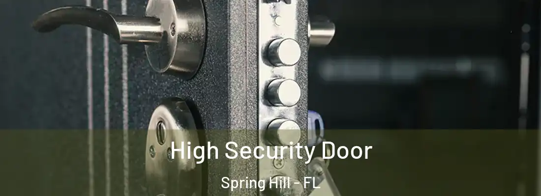 High Security Door Spring Hill - FL