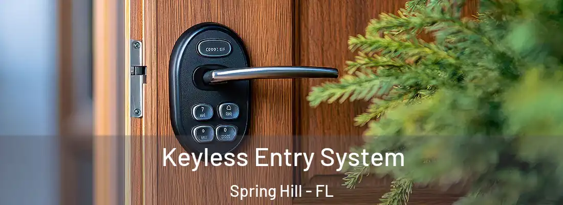 Keyless Entry System Spring Hill - FL
