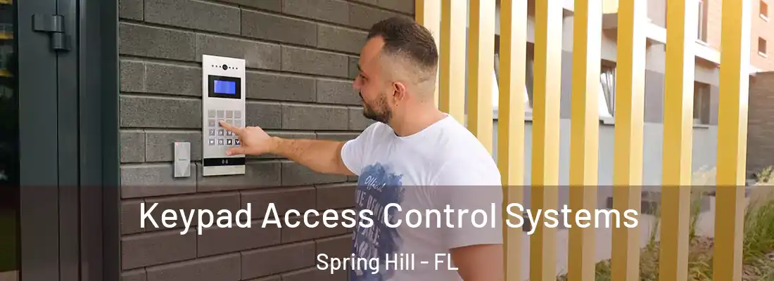 Keypad Access Control Systems Spring Hill - FL