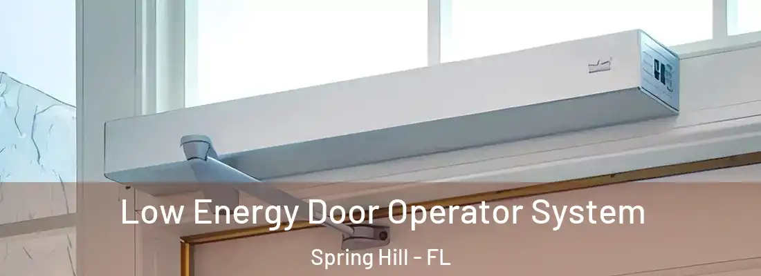 Low Energy Door Operator System Spring Hill - FL