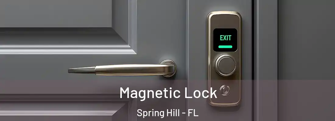 Magnetic Lock Spring Hill - FL