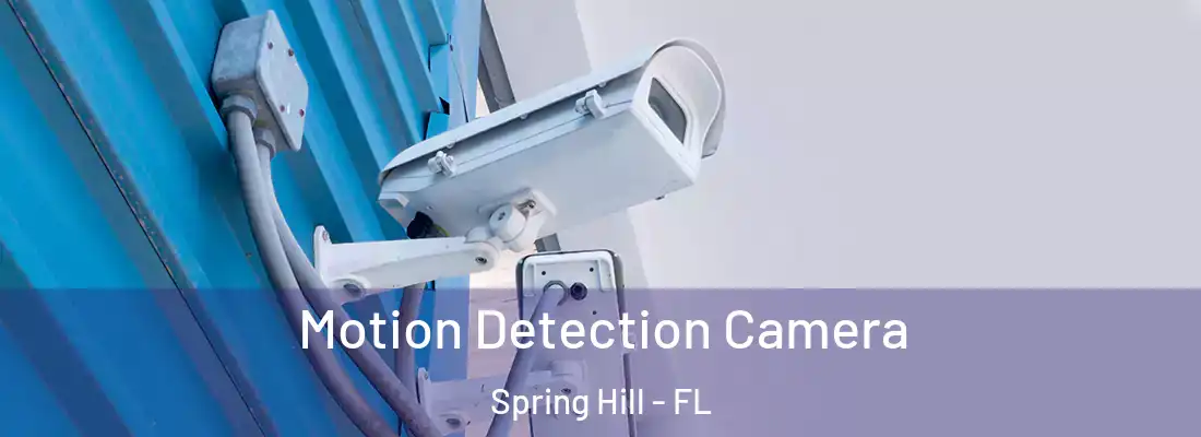 Motion Detection Camera Spring Hill - FL
