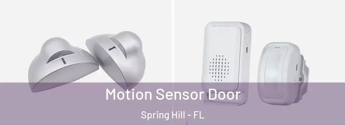 Motion Sensor Door Spring Hill - FL