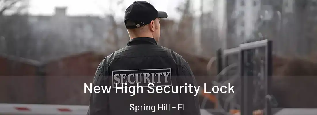 New High Security Lock Spring Hill - FL