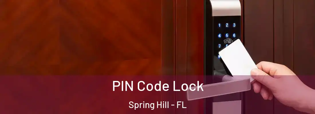 PIN Code Lock Spring Hill - FL