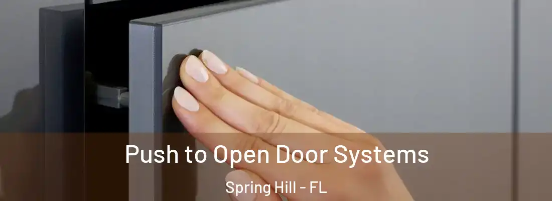 Push to Open Door Systems Spring Hill - FL