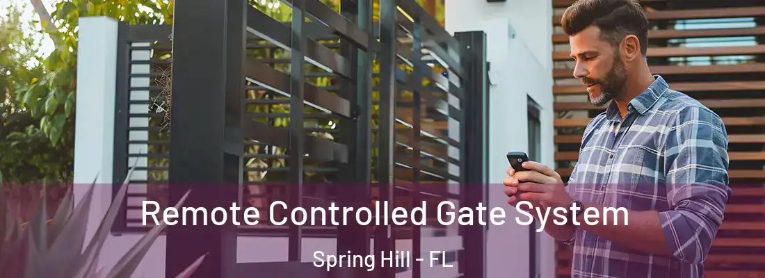 Remote Controlled Gate System Spring Hill - FL