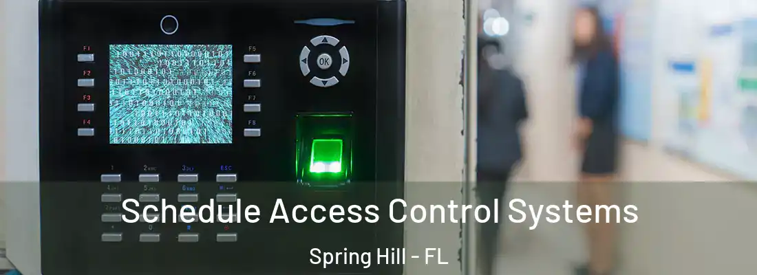 Schedule Access Control Systems Spring Hill - FL