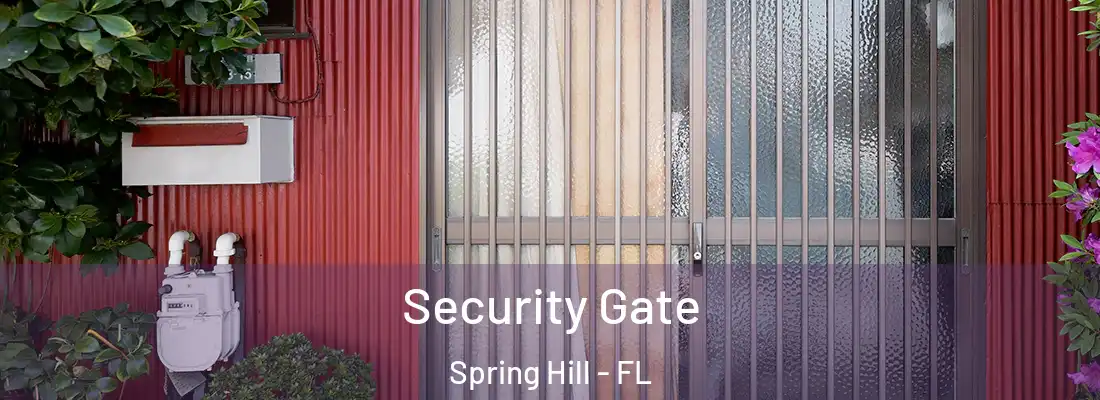 Security Gate Spring Hill - FL