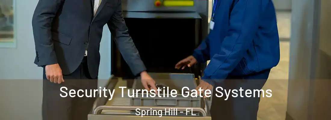 Security Turnstile Gate Systems Spring Hill - FL
