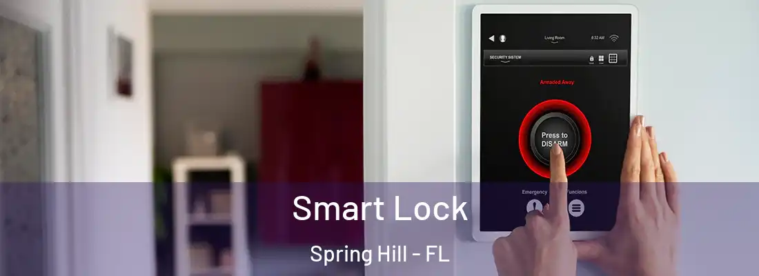 Smart Lock Spring Hill - FL