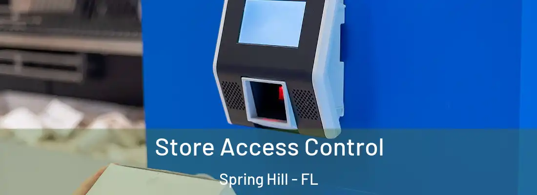 Store Access Control Spring Hill - FL
