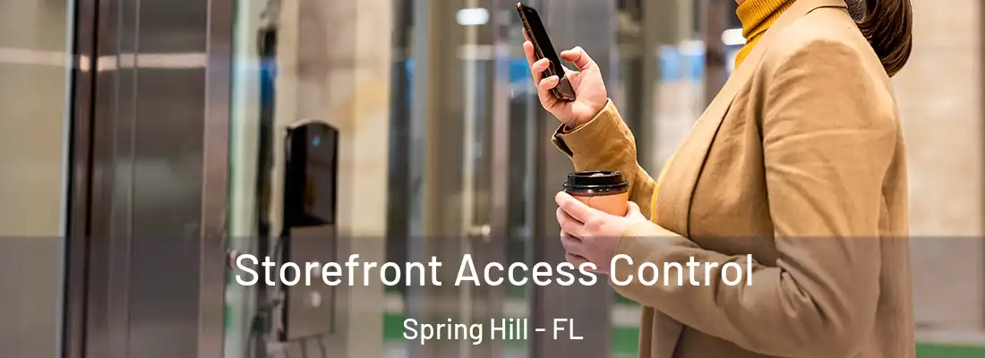 Storefront Access Control Spring Hill - FL