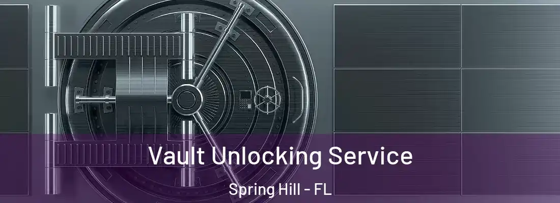 Vault Unlocking Service Spring Hill - FL
