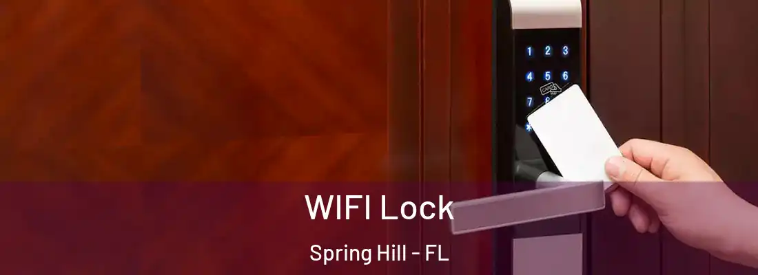 WIFI Lock Spring Hill - FL